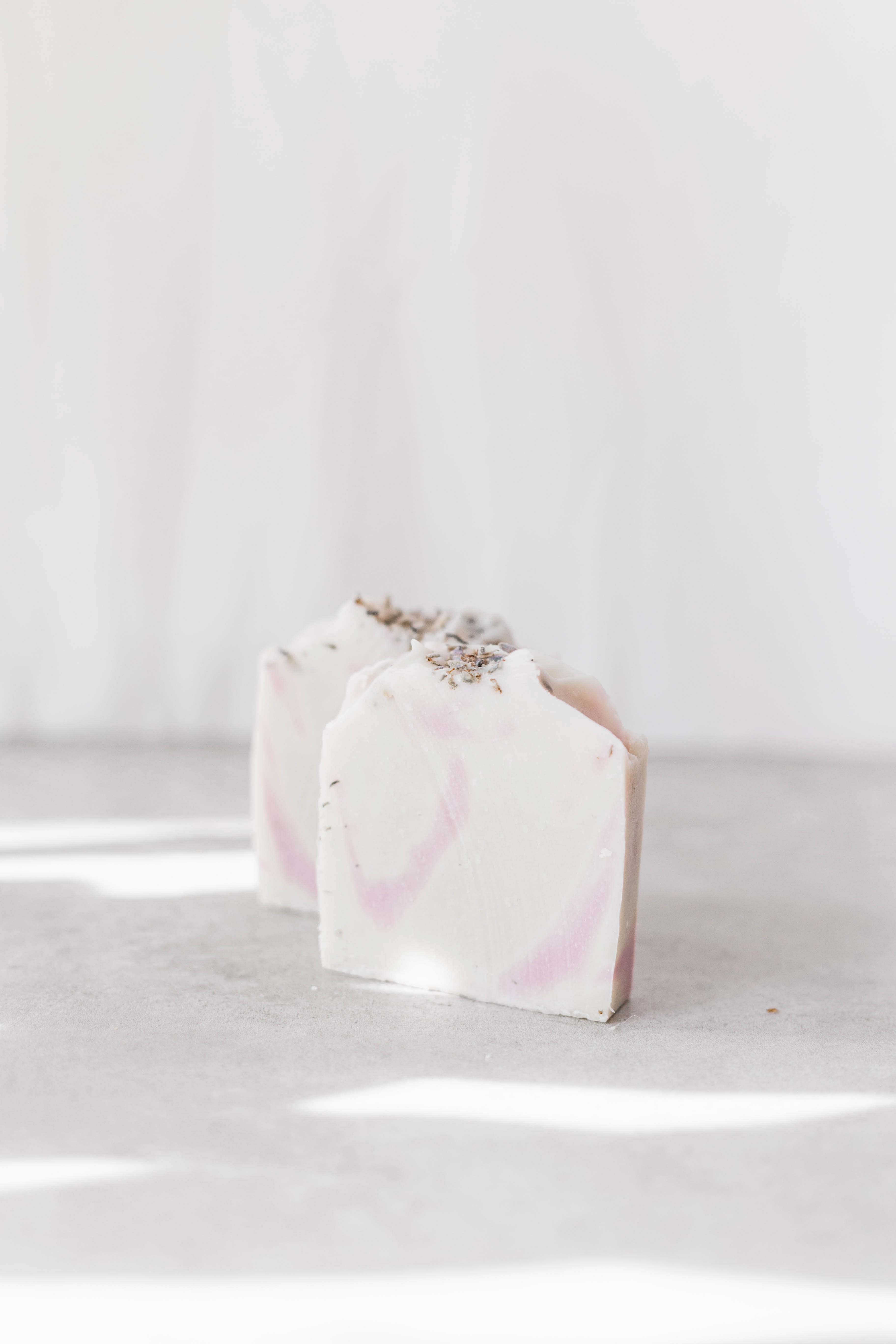 Potted Plant Pink And White Gift Box Vase Image Free Photo